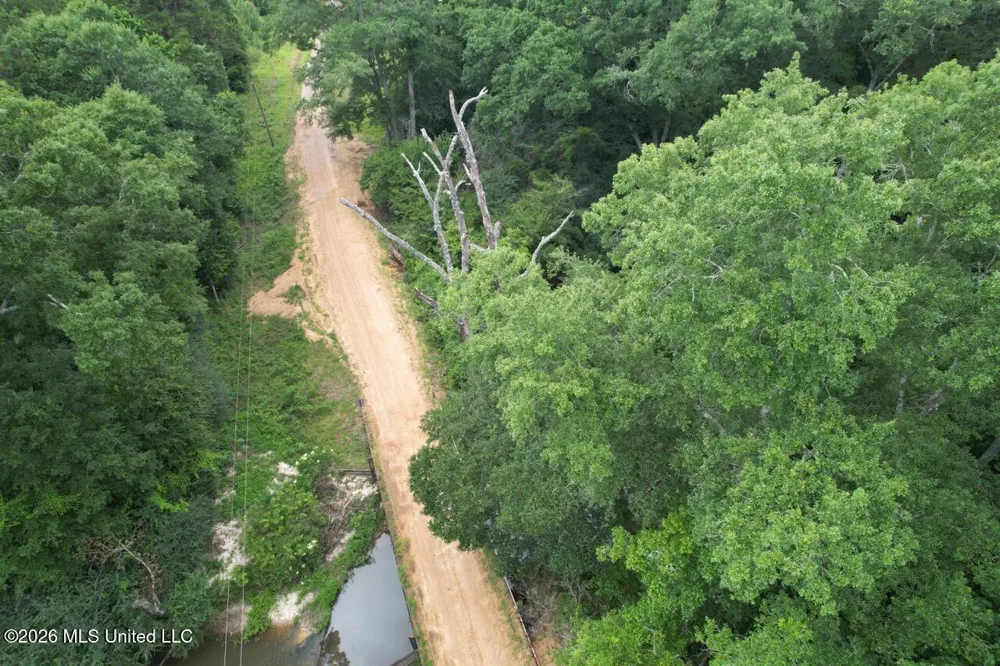 6642 Grange Hall Road Osyka, MS 39657
