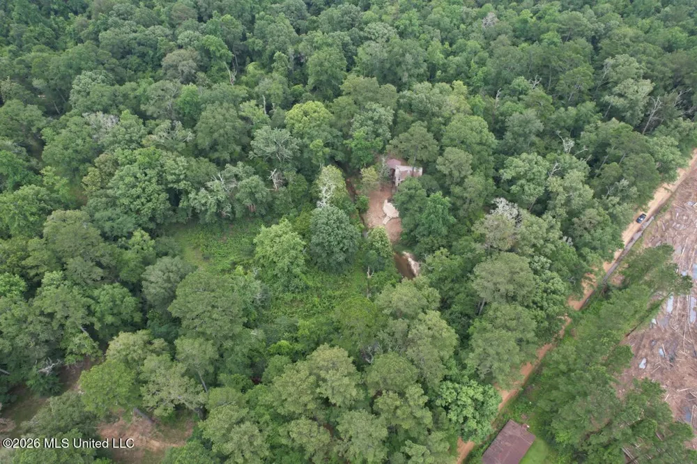 6642 Grange Hall Road Osyka, MS 39657