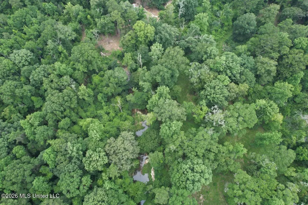 6642 Grange Hall Road Osyka, MS 39657