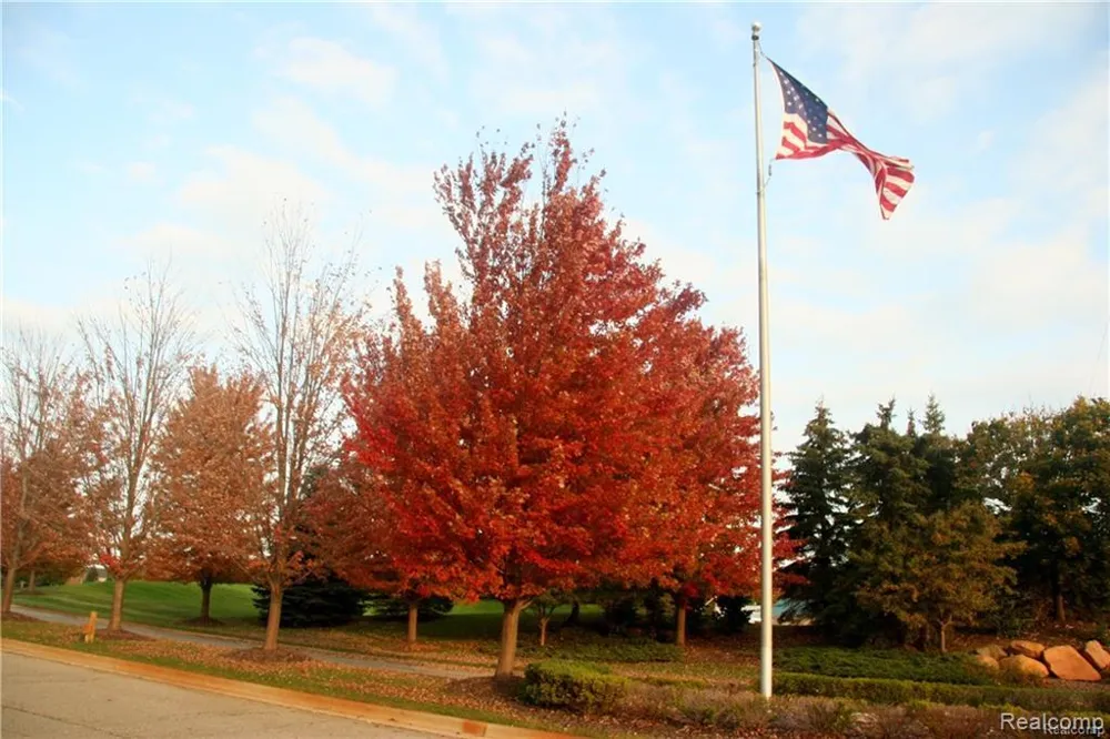 68 Donegal Court Tyrone Township, MI 48430