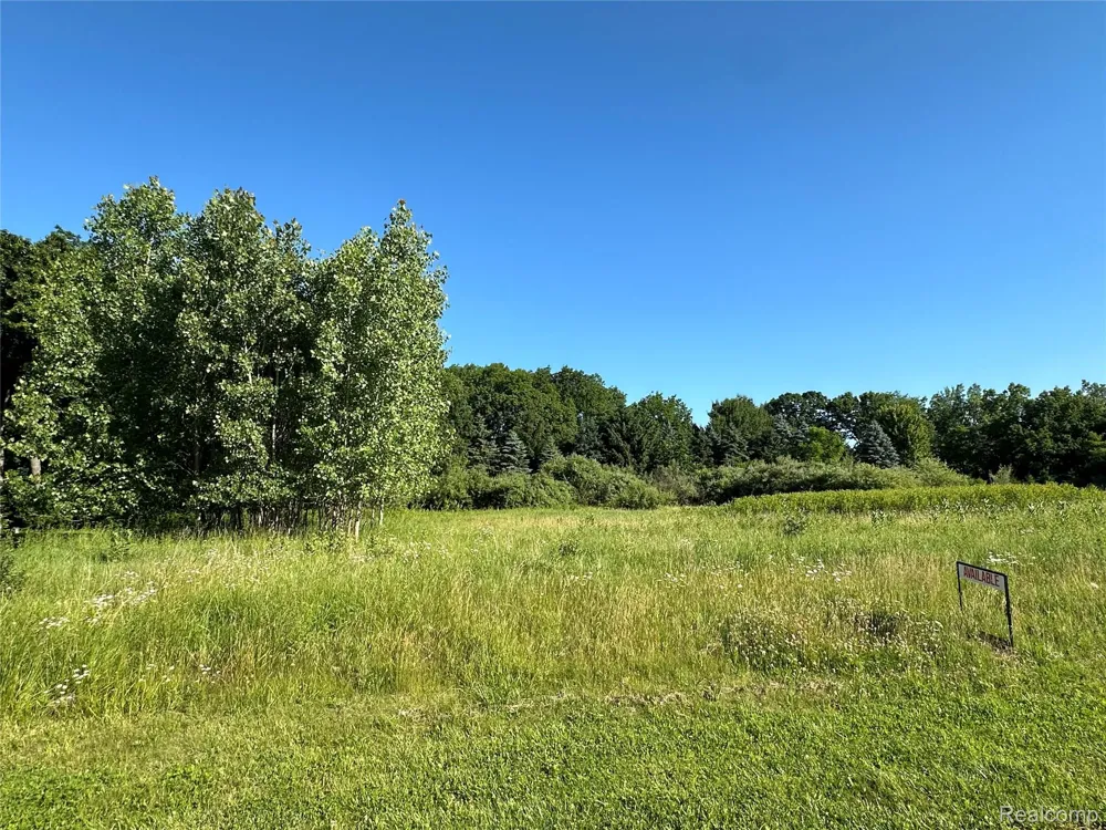 68 Donegal Court Tyrone Township, MI 48430