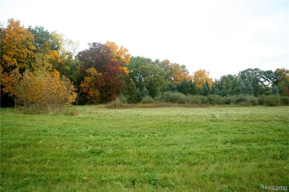 68 Donegal Court Tyrone Township, MI 48430