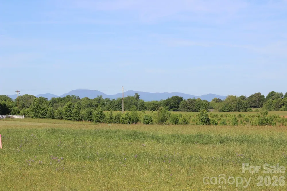 Lot 5 Ted Smith Road #5 Rutherfordton, NC 28139