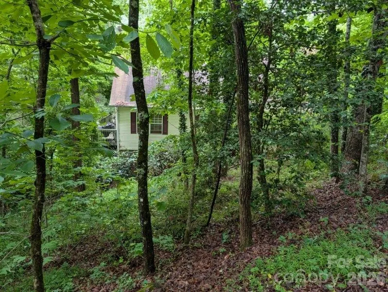 197 Dogwood Drive Hayesville, NC 28904