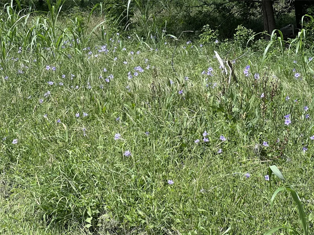 10001 Peterson Road Del Valle, TX 78617