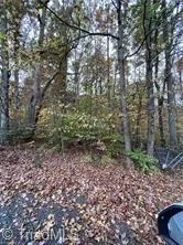0 Aladdin Road Pfafftown, NC 27040