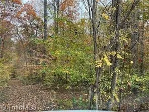 0 Aladdin Road Pfafftown, NC 27040
