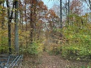 0 Aladdin Road Pfafftown, NC 27040