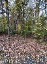 0 Aladdin Road Pfafftown, NC 27040