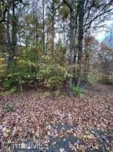 0 Aladdin Road Pfafftown, NC 27040
