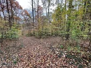 0 Aladdin Road Pfafftown, NC 27040
