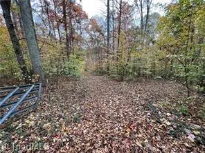 0 Aladdin Road Pfafftown, NC 27040
