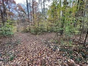 0 Aladdin Road Pfafftown, NC 27040