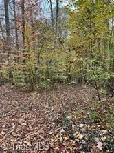 0 Aladdin Road Pfafftown, NC 27040
