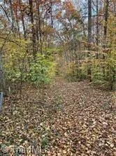 0 Aladdin Road Pfafftown, NC 27040