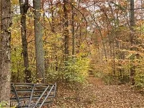 0 Aladdin Road Pfafftown, NC 27040