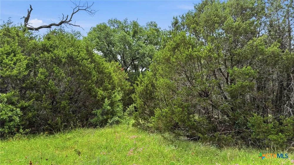 136 PR 42101 Evant, TX 76525