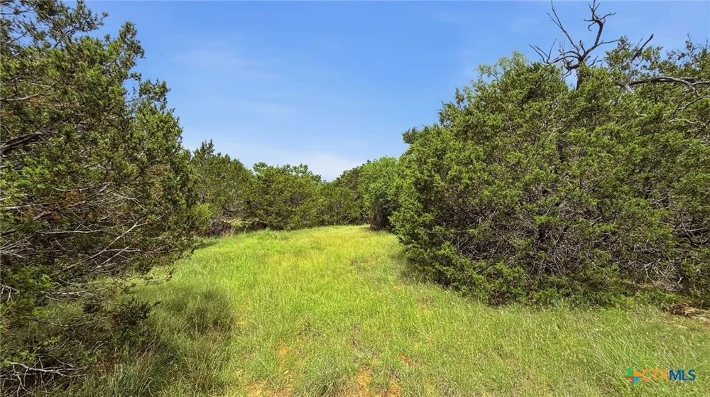 136 PR 42101 Evant, TX 76525