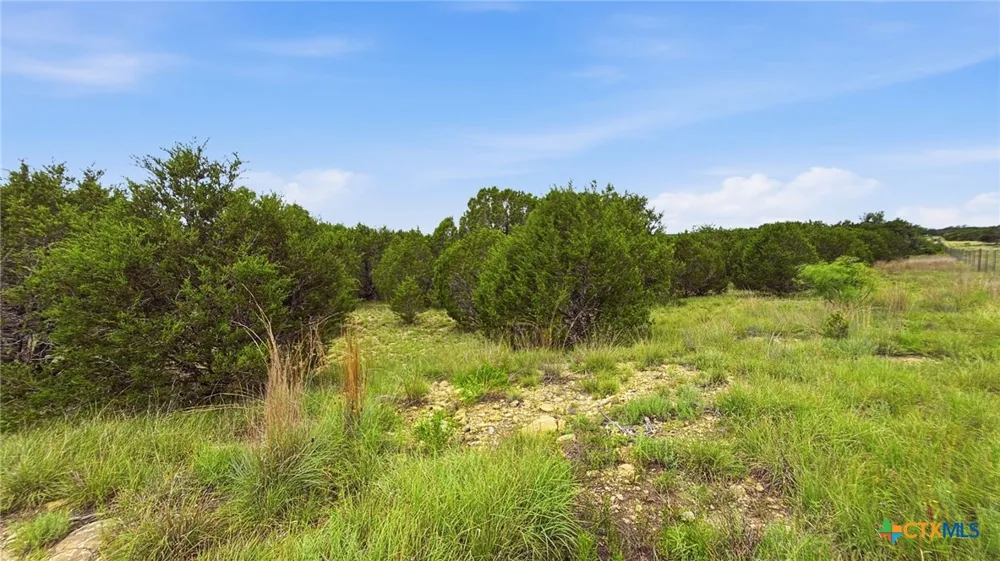 136 PR 42101 Evant, TX 76525
