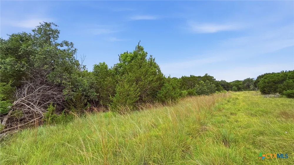 136 PR 42101 Evant, TX 76525