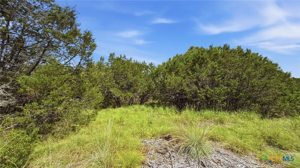 136 PR 42101 Evant, TX 76525