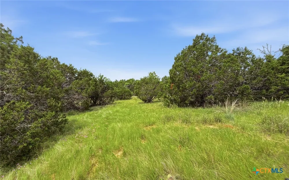 136 PR 42101 Evant, TX 76525