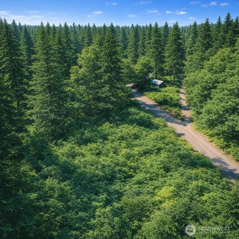 56925 382nd Avenue E Ashford, WA 98304