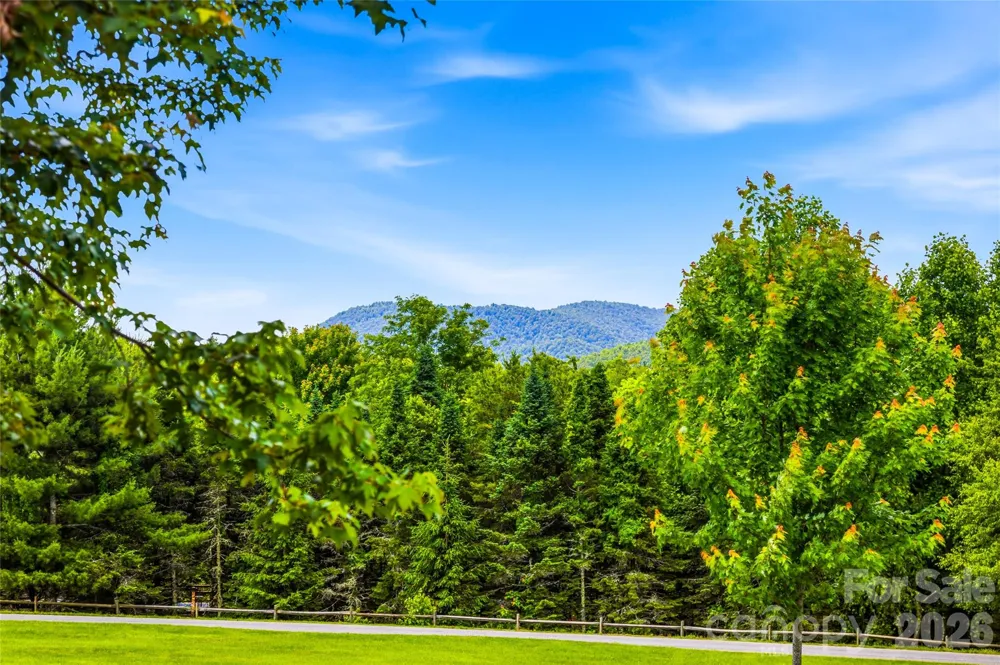 4862 Pinnacle Mountain Road Zirconia, NC 28790