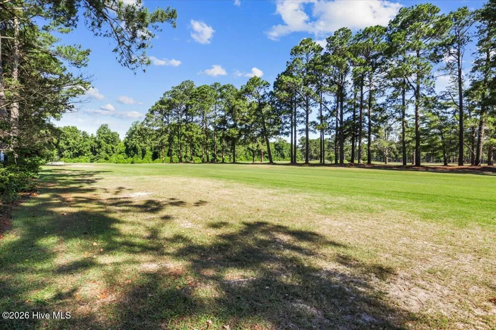 206 Ramblewood Drive Mount Olive, NC 28365