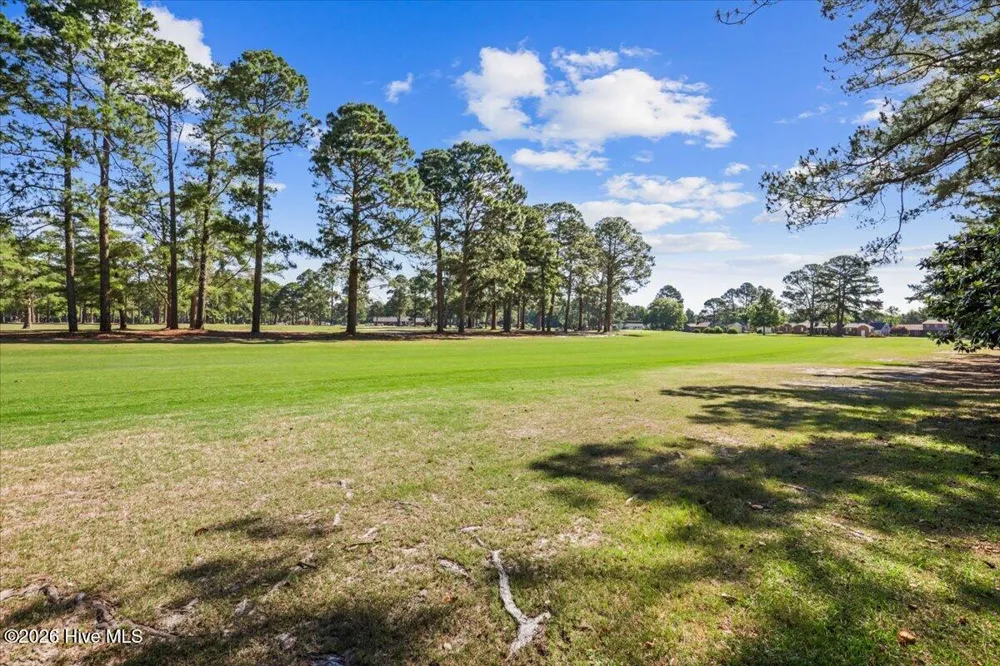 206 Ramblewood Drive Mount Olive, NC 28365