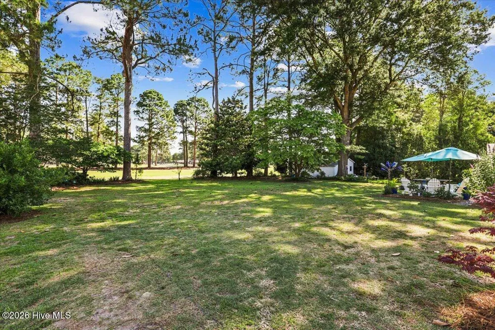 206 Ramblewood Drive Mount Olive, NC 28365
