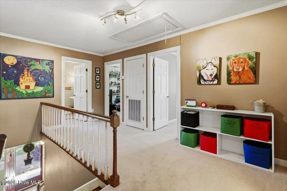 206 Ramblewood Drive Mount Olive, NC 28365