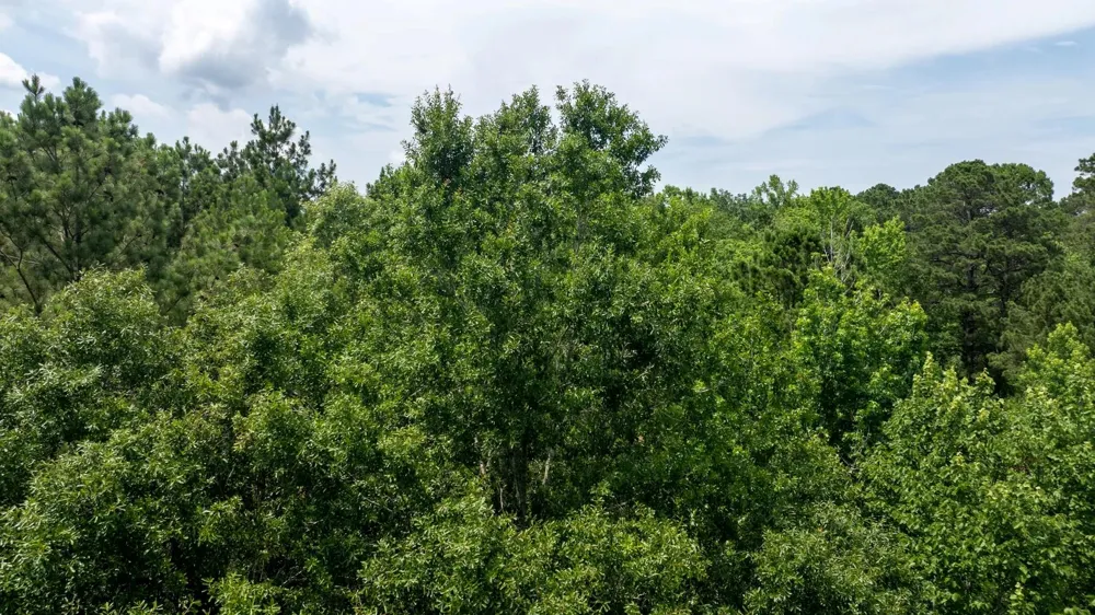 781 Mason Lane Milam, TX 75959