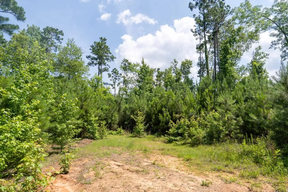 781 Mason Lane Milam, TX 75959