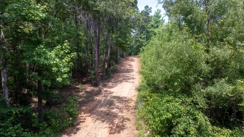781 Mason Lane Milam, TX 75959