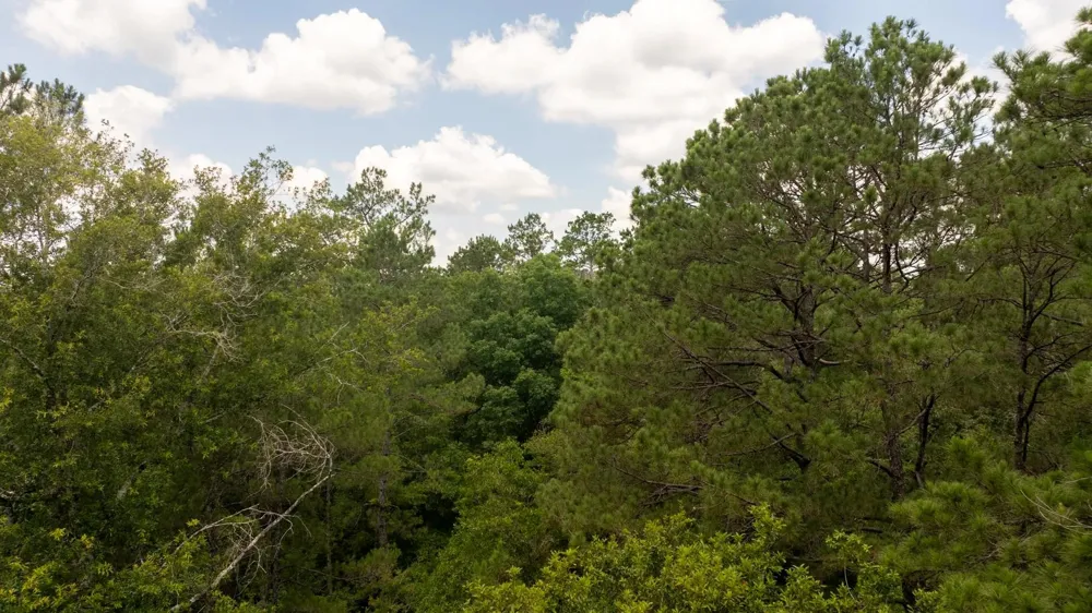 781 Mason Lane Milam, TX 75959