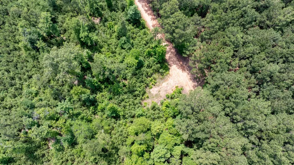 781 Mason Lane Milam, TX 75959