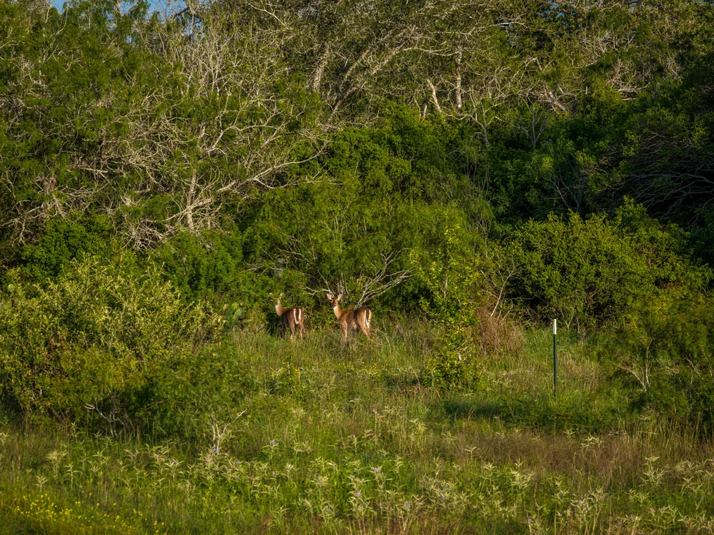 343 CR 343 Gonzales, TX 78629