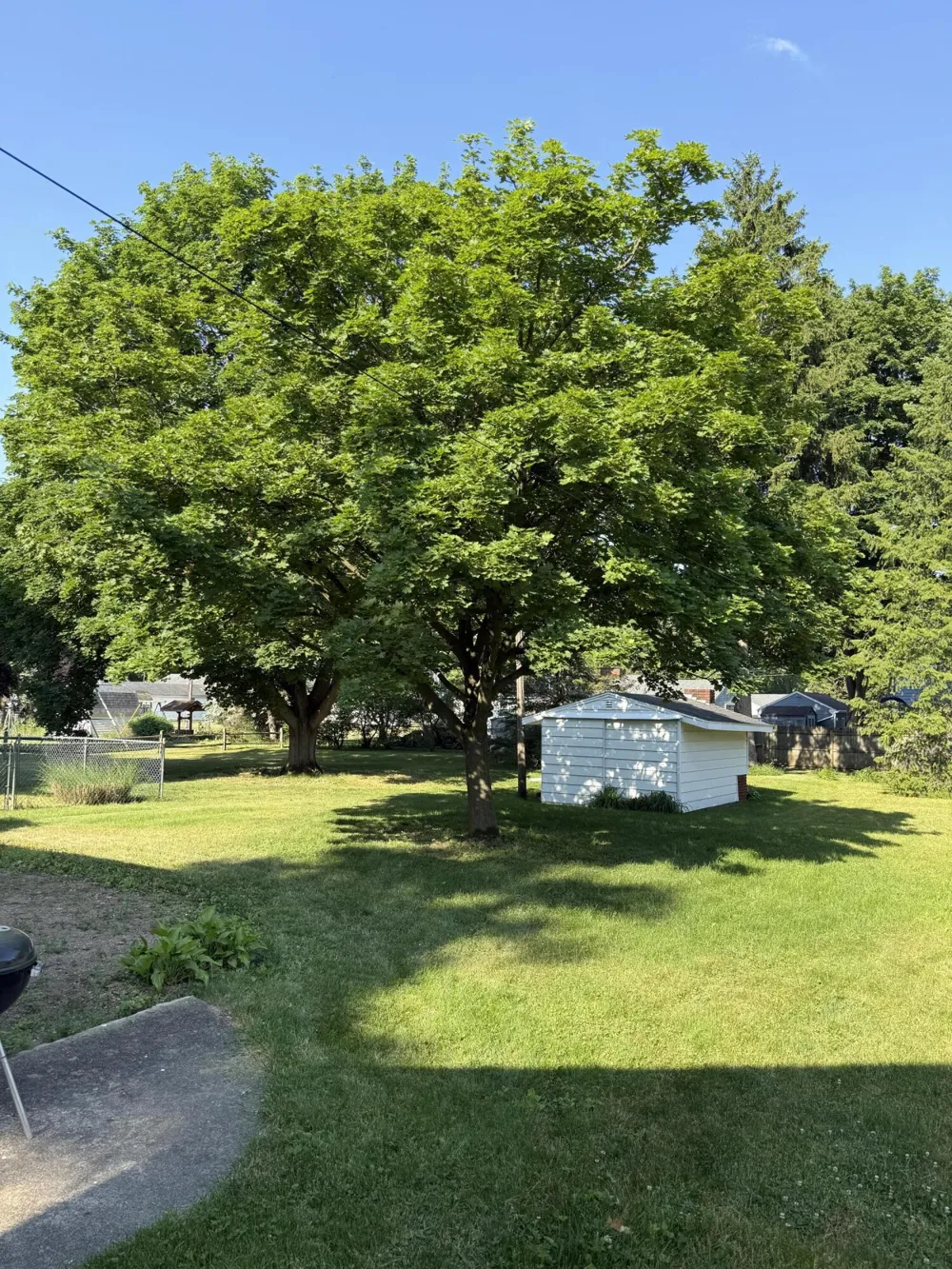 2326 Sunset Lane Adrian, MI 49221