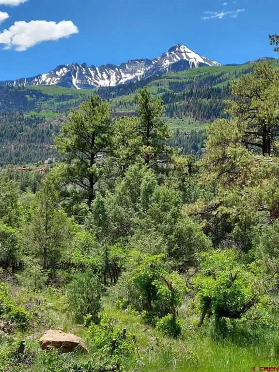 7 White House Vista Lane Ridgway, CO 81432