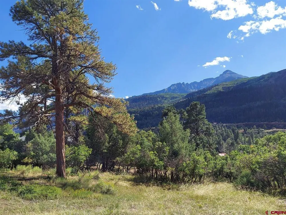7 White House Vista Lane Ridgway, CO 81432