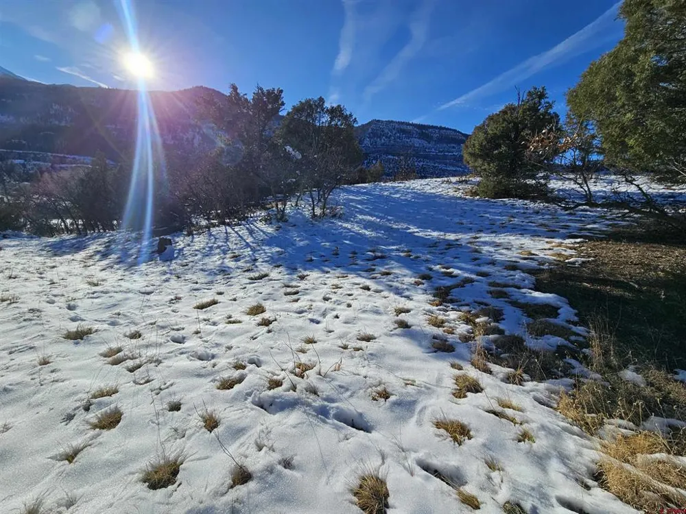 7 White House Vista Lane Ridgway, CO 81432