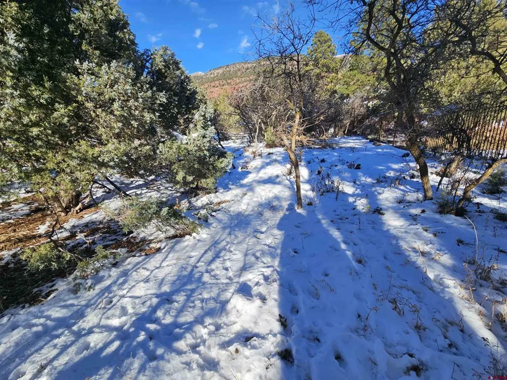 7 White House Vista Lane Ridgway, CO 81432