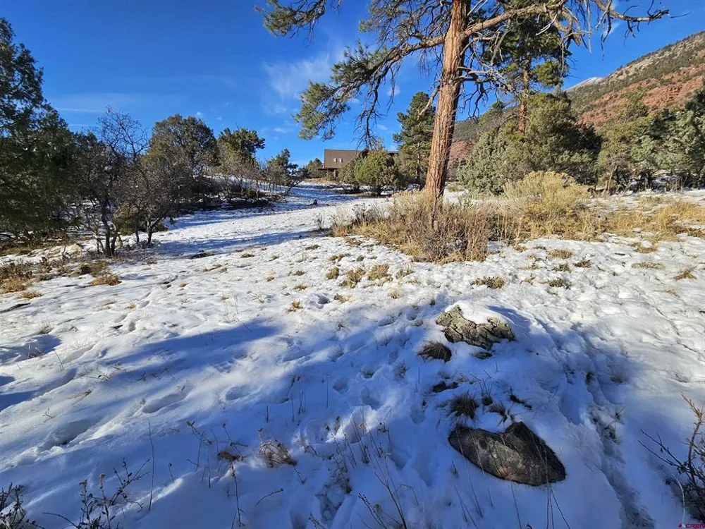 7 White House Vista Lane Ridgway, CO 81432