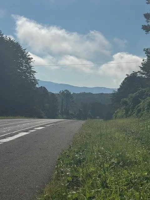 5.0 Acs Hwy 64 Copperhill, TN 37317