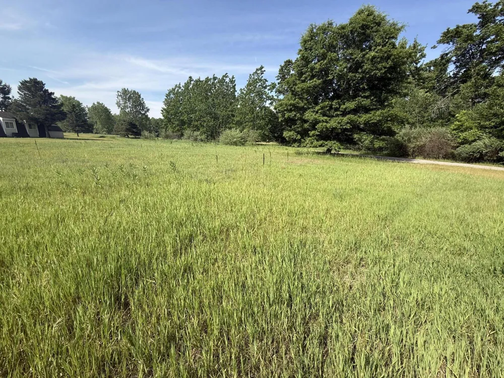 W Royal Road #Lot D Stanwood, MI 49346