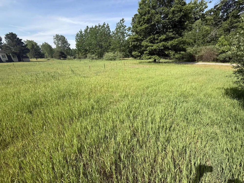 W Royal Road #Lot D Stanwood, MI 49346