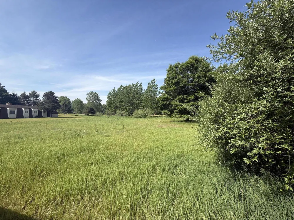 W Royal Road #Lot D Stanwood, MI 49346