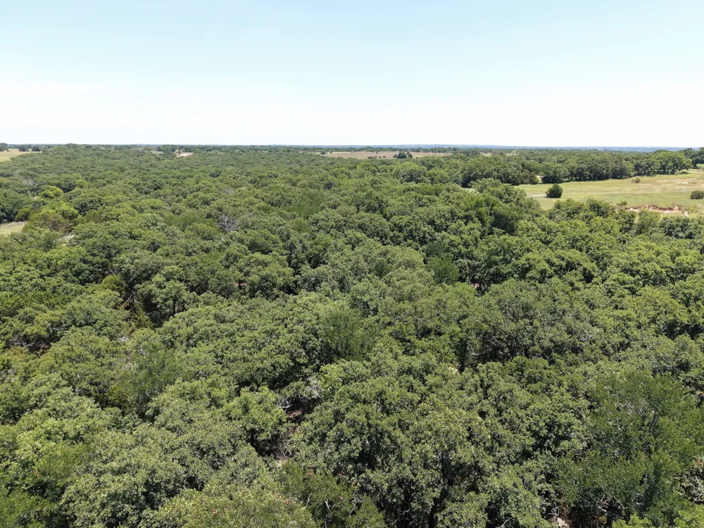 TURKEY COURT Perrin, TX 76449