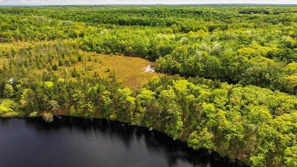 28525 Fox Pointe Trail Peaine Township, MI 49782